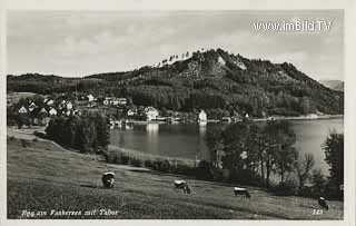 Drobbolach mit Blickrichtung Egg - Kärnten - alte historische Fotos Ansichten Bilder Aufnahmen Ansichtskarten 