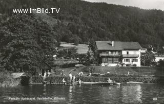 Haus Spielvogel in Ossiach - Feldkirchen - alte historische Fotos Ansichten Bilder Aufnahmen Ansichtskarten 
