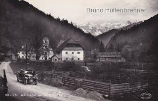 Weidisch mit Koschutta - Kärnten - alte historische Fotos Ansichten Bilder Aufnahmen Ansichtskarten 