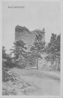 Burg Mödling - Mödling - alte historische Fotos Ansichten Bilder Aufnahmen Ansichtskarten 