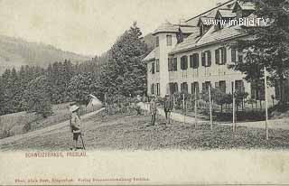 Schweizerhaus - Preblau - alte historische Fotos Ansichten Bilder Aufnahmen Ansichtskarten 