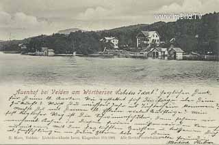 Auenhof - Villach Land - alte historische Fotos Ansichten Bilder Aufnahmen Ansichtskarten 