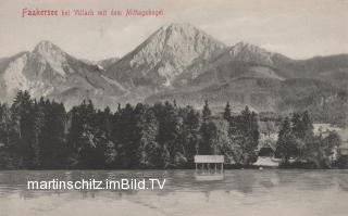 Insel Nordansicht - Finkenstein am Faaker See - alte historische Fotos Ansichten Bilder Aufnahmen Ansichtskarten 