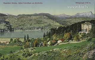 Schloss Freienthurn - Klagenfurt am Wörthersee - alte historische Fotos Ansichten Bilder Aufnahmen Ansichtskarten 