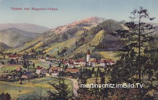 Veitsch mit Magnesit Abbau - Steiermark - alte historische Fotos Ansichten Bilder Aufnahmen Ansichtskarten 