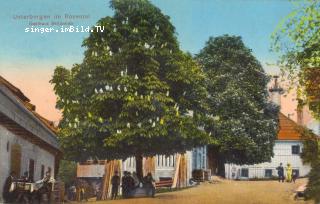 Unterbergen Gasthaus Schönlieb - Klagenfurt Land - alte historische Fotos Ansichten Bilder Aufnahmen Ansichtskarten 