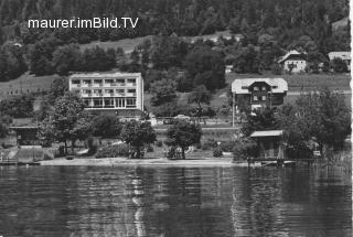 Seehotel Hoffmann in Steindorf - Feldkirchen - alte historische Fotos Ansichten Bilder Aufnahmen Ansichtskarten 