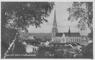 Linz, Maria Empfängnisdom - Linz(Stadt) - alte historische Fotos Ansichten Bilder Aufnahmen Ansichtskarten 