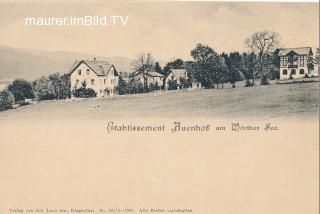 Velden Auenhof - Velden am Wörther See - alte historische Fotos Ansichten Bilder Aufnahmen Ansichtskarten 