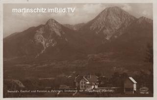 Bernold's Gasthof und Pension zum Peterwirt - Kärnten - alte historische Fotos Ansichten Bilder Aufnahmen Ansichtskarten 