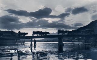 Viehtrieb über die Brücke  - Spittal an der Drau - alte historische Fotos Ansichten Bilder Aufnahmen Ansichtskarten 
