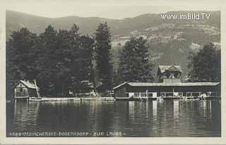 Zur Laube - Bodensdorf - Steindorf am Ossiacher See - alte historische Fotos Ansichten Bilder Aufnahmen Ansichtskarten 