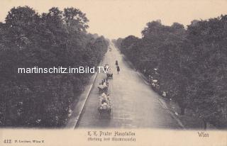Wien, K.K. Prater Hauptallee - Oesterreich - alte historische Fotos Ansichten Bilder Aufnahmen Ansichtskarten 