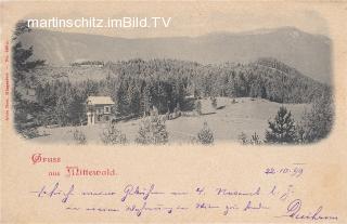 Mittewald ob Villach - alte historische Fotos Ansichten Bilder Aufnahmen Ansichtskarten 