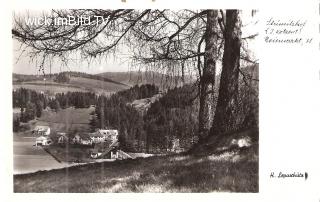 Neumarkt in Steiermark - Murau - alte historische Fotos Ansichten Bilder Aufnahmen Ansichtskarten 