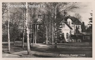 Karawankenhof  mit Birkenallee - Villach-Warmbad-Judendorf - alte historische Fotos Ansichten Bilder Aufnahmen Ansichtskarten 