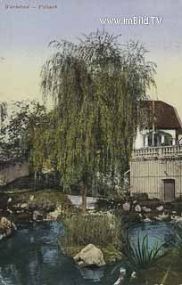 Warmbad Quellabluss (dahinter Karawankenhof) - Villach - alte historische Fotos Ansichten Bilder Aufnahmen Ansichtskarten 
