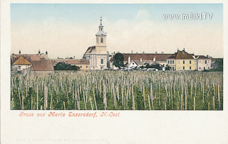 Maria Enzersdorf - alte historische Fotos Ansichten Bilder Aufnahmen Ansichtskarten 