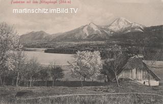 Panoramaansicht auf die Insel, - Villach(Stadt) - alte historische Fotos Ansichten Bilder Aufnahmen Ansichtskarten 