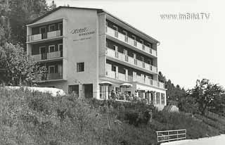 Hotel Birkenhof - Europa - alte historische Fotos Ansichten Bilder Aufnahmen Ansichtskarten 