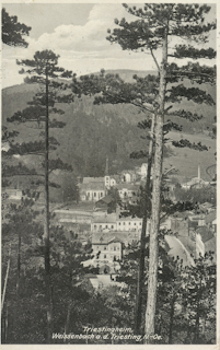 Triestingheim, Weissenbach an der Triesting - alte historische Fotos Ansichten Bilder Aufnahmen Ansichtskarten 