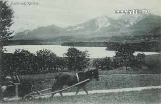 Pferdefuhrwerk in Drobollach - Villach(Stadt) - alte historische Fotos Ansichten Bilder Aufnahmen Ansichtskarten 