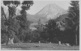 Oberaichwald - alte historische Fotos Ansichten Bilder Aufnahmen Ansichtskarten 