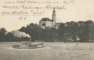 Schloß Wallsee an der Donau - Wallsee-Sindelburg - alte historische Fotos Ansichten Bilder Aufnahmen Ansichtskarten 