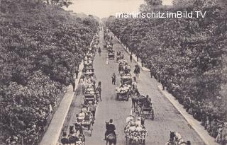 Wien Prater Haupt - Aallee - alte historische Fotos Ansichten Bilder Aufnahmen Ansichtskarten 