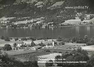 Ossiachersee - Oesterreich - alte historische Fotos Ansichten Bilder Aufnahmen Ansichtskarten 