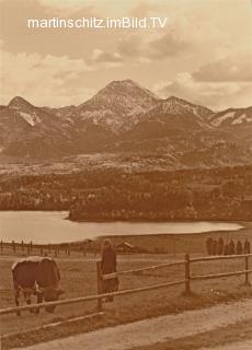 Panoramablick über den See auf den Mittagskogel - alte historische Fotos Ansichten Bilder Aufnahmen Ansichtskarten 