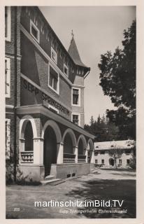 Sepp Springerheim - Oesterreich - alte historische Fotos Ansichten Bilder Aufnahmen Ansichtskarten 