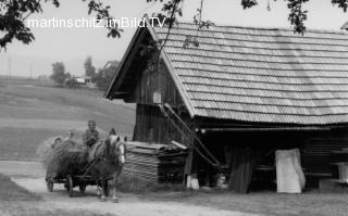 Pferdefuhrwerk bei Grünfuttereinfuhr - Villach(Stadt) - alte historische Fotos Ansichten Bilder Aufnahmen Ansichtskarten 