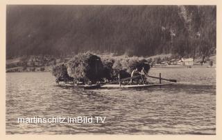 Techendorf, Heutransport am Weissensee - Oesterreich - alte historische Fotos Ansichten Bilder Aufnahmen Ansichtskarten 