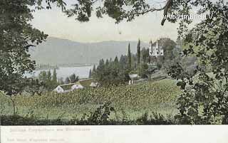 Schloss Freyenthrun - Klagenfurt - Oesterreich - alte historische Fotos Ansichten Bilder Aufnahmen Ansichtskarten 