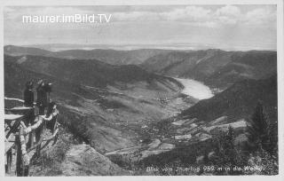 Blick vom Jauerling, in die Wachau - Krems(Land) - alte historische Fotos Ansichten Bilder Aufnahmen Ansichtskarten 