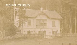 Vila Waldhäusel - Haselsdorf-Tobelbad - alte historische Fotos Ansichten Bilder Aufnahmen Ansichtskarten 