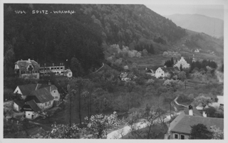 Spitz-Wachau - alte historische Fotos Ansichten Bilder Aufnahmen Ansichtskarten 
