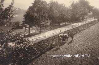 Drobollach, Schotterstraße nach Faak am See - Villach(Stadt) - alte historische Fotos Ansichten Bilder Aufnahmen Ansichtskarten 