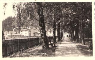 Wildbad Einöd bei Neumarkt - Oesterreich - alte historische Fotos Ansichten Bilder Aufnahmen Ansichtskarten 