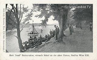 Wien - Stadlau - alte historische Fotos Ansichten Bilder Aufnahmen Ansichtskarten 