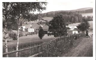 See bei Neumarkt - Oesterreich - alte historische Fotos Ansichten Bilder Aufnahmen Ansichtskarten 
