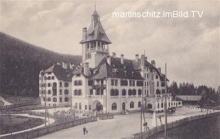 Semmering, Hotel Erzherzog Johann  - Oesterreich - alte historische Fotos Ansichten Bilder Aufnahmen Ansichtskarten 