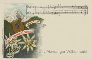 M.G.V. Liederkranz Edelweiss Villach - Oesterreich - alte historische Fotos Ansichten Bilder Aufnahmen Ansichtskarten 
