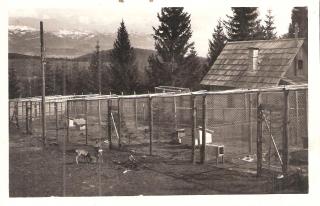 Zeutschach bei Neumarkt in Steiermark - alte historische Fotos Ansichten Bilder Aufnahmen Ansichtskarten 