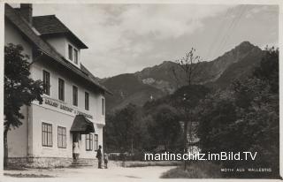 Gallob's Gasthof und Fleischhauerei - Oesterreich - alte historische Fotos Ansichten Bilder Aufnahmen Ansichtskarten 