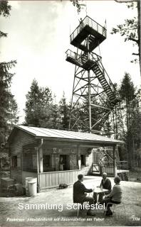 Der Aussichtsturm am Tabor - Egg am Faaker See - alte historische Fotos Ansichten Bilder Aufnahmen Ansichtskarten 