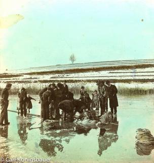 Am Eis - Drobollach am Faaker See - alte historische Fotos Ansichten Bilder Aufnahmen Ansichtskarten 