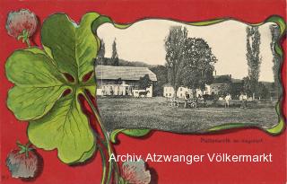Klagenfurt, Plattenwirth - Kärnten - alte historische Fotos Ansichten Bilder Aufnahmen Ansichtskarten 