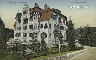 Etablissement Kointsch - Velden am Wörther See - alte historische Fotos Ansichten Bilder Aufnahmen Ansichtskarten 